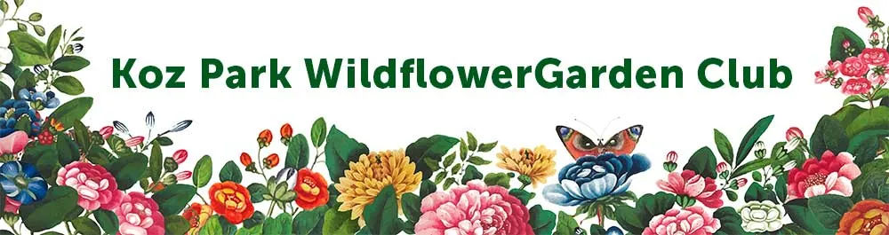 Banner reading Koz Park Wildflower Garden Club above a border of painted flowers and a butterfly.
